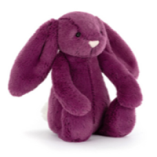 Bashful Allium Bunny small
